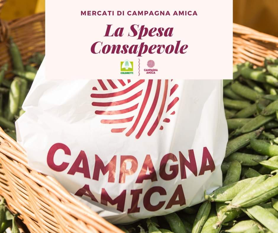 Trecate: il 9 settembre torna l’agrimercato di ‘Campagna Amica’ in piazza Cavour