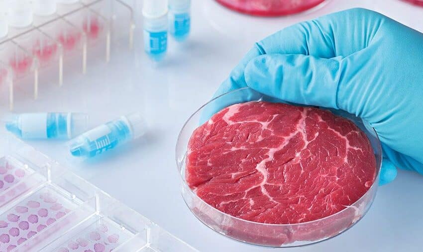 Coldiretti. Nasce il Manifesto contro il cibo sintetico con 39 associazioni