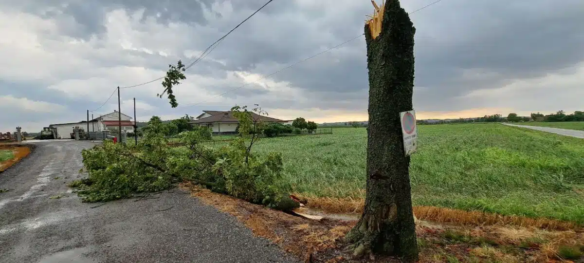 Il clima impazzito, l’ANBI lancia l’allarme: l’autunno fa paura