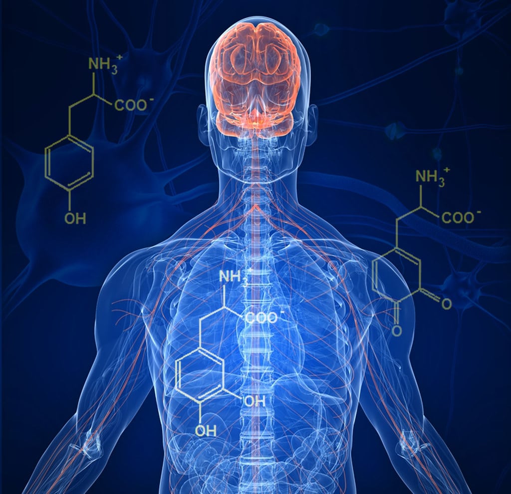 300mila italiani colpiti dal Parkinson