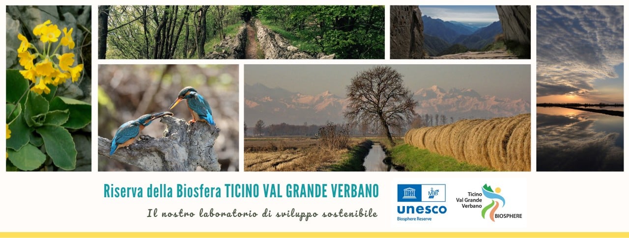 “Siti naturali Unesco ed educazione ambientale”: via al progetto della riserva Ticino Verbano, coinvolte scuole di Abbiategrasso e Cuggiono