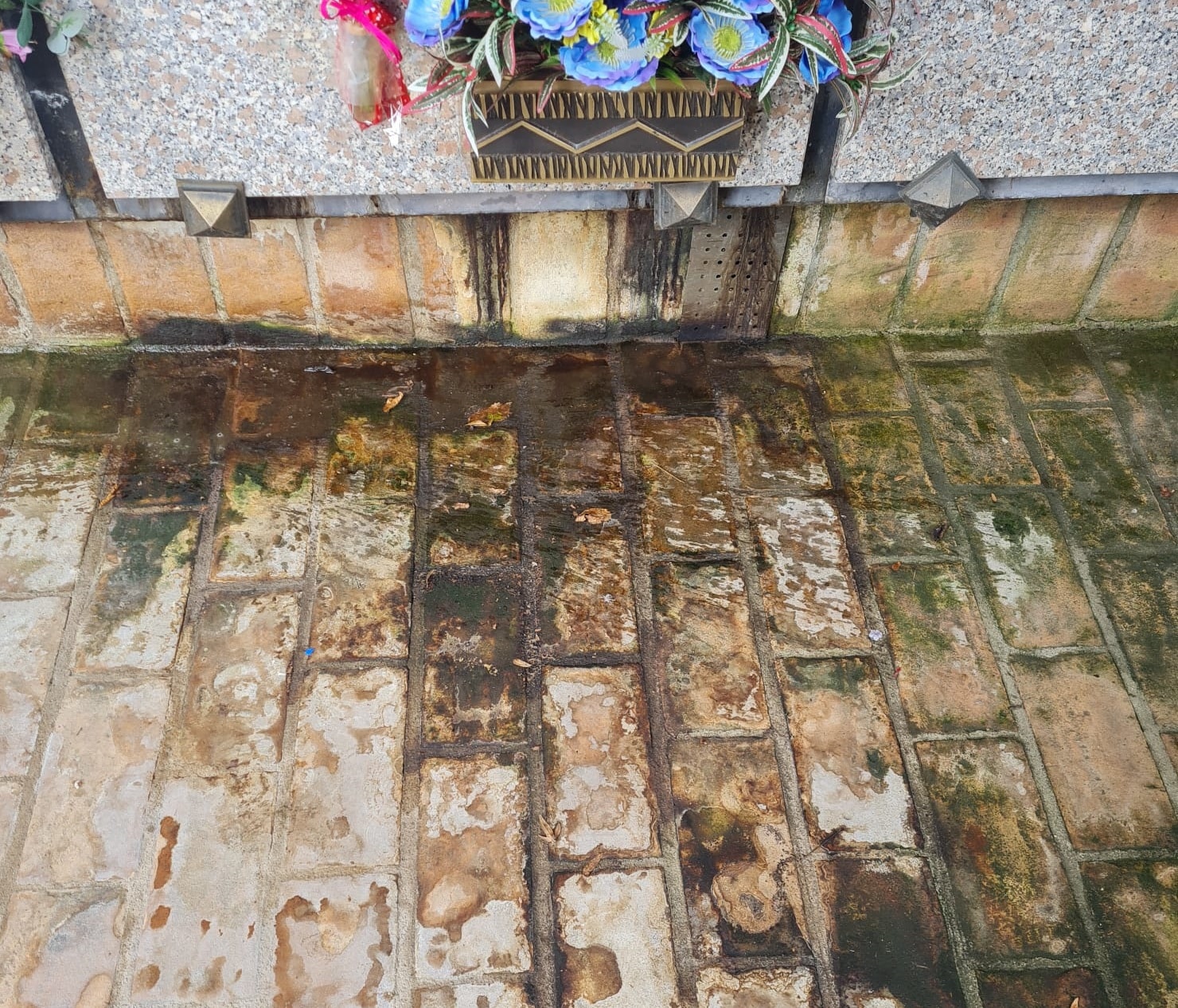 Infiltrazioni e odori terribili al cimitero di Magenta: via ai lavori per altri centomila euro