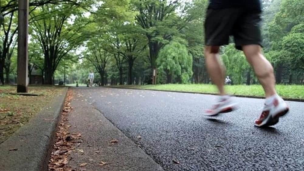Prorettore del Politecnico di Milano investito durante lo jogging