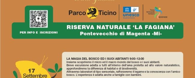 La magia del Bosco: domenica 17 settembre visita guidata gratuita in Fagiana a Pontevecchio