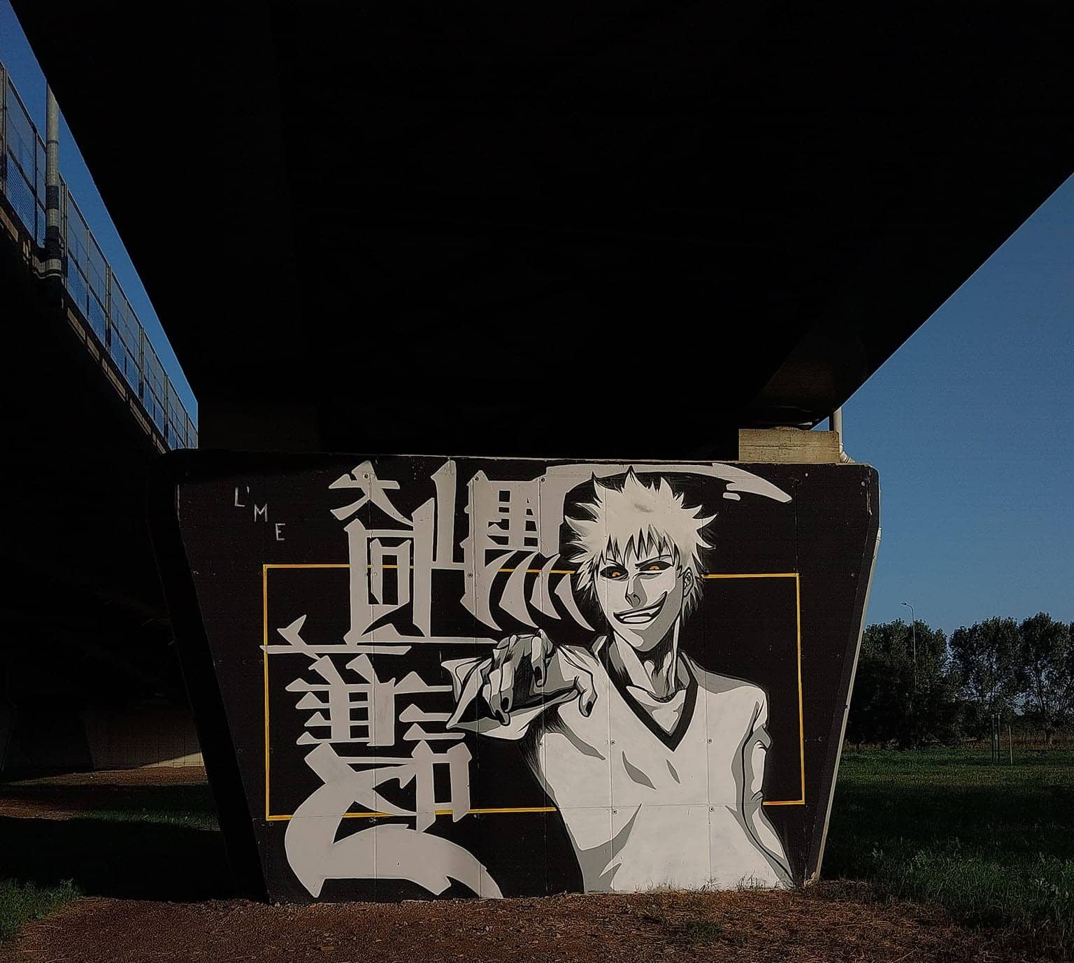 Magenta: quando i murales diventano opere d’arte. Su ‘Sei di Magenta se…’ impazza il sondaggio lanciato da Alessio Bosani