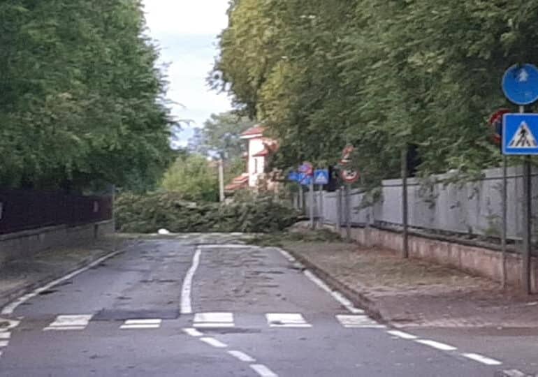 Risarcimento danni per il maltempo: tutte le informazioni
