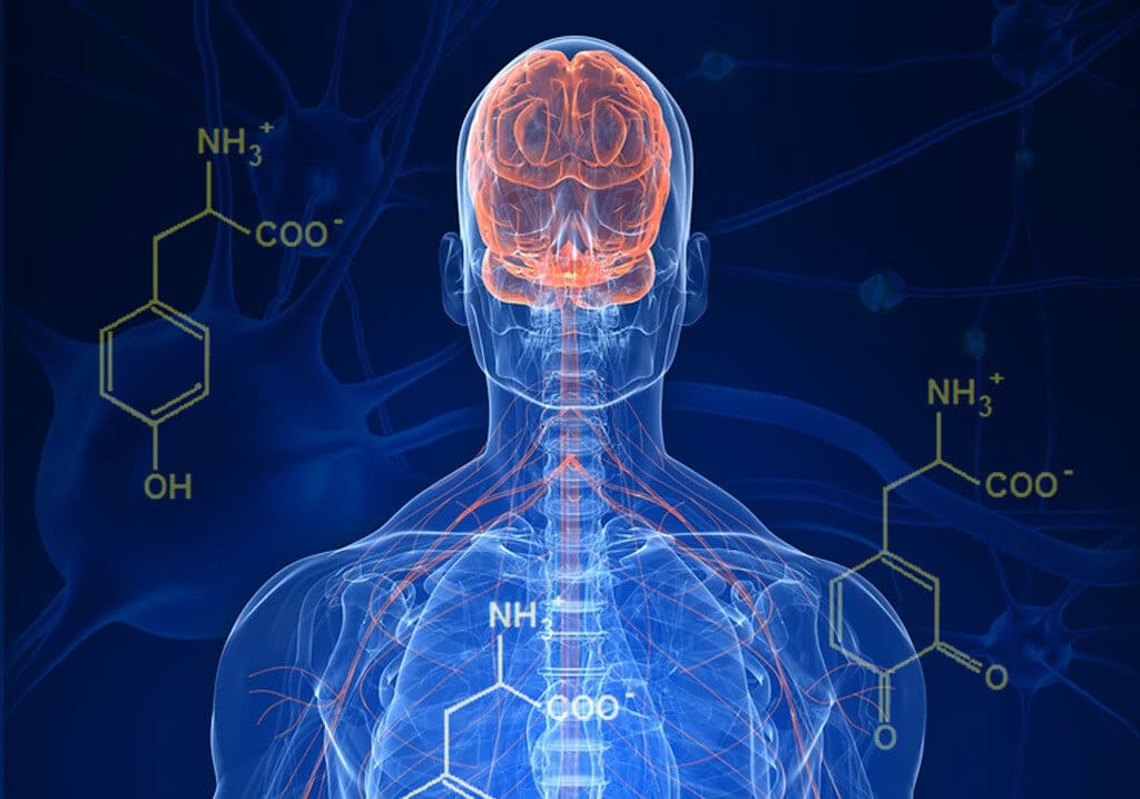 18enne presenta a Novara algoritmo fatto con IA per la diagnosi del Parkinson: complimenti ragazzo!