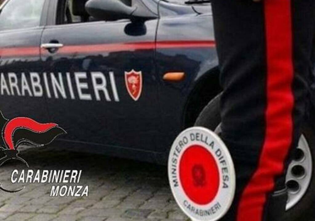 Giovane ladra d’appartamenti arrestata dai Cc a Monza. Primo furto a 9 anni…