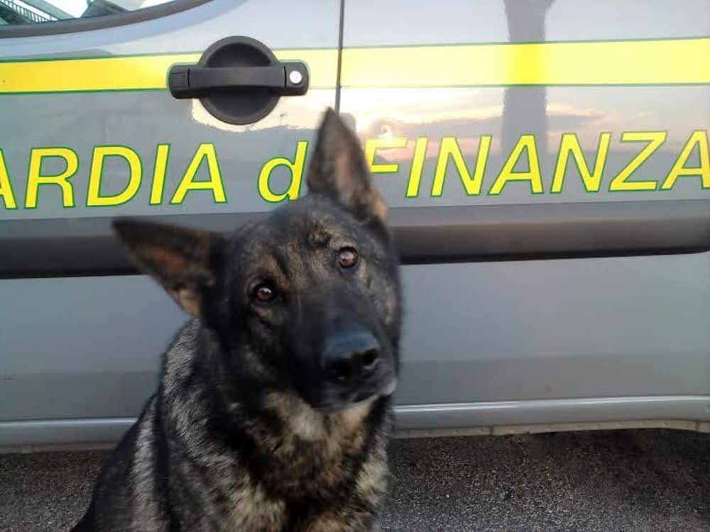 Milano: la Guardia di Finanza scopre fatture false per 50 milioni di euro