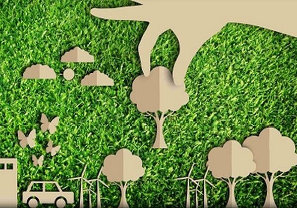 Due progetti di riforestazione di Città Metropolitana in corsa per il PNRR: ci sono anche Casorezzo e Nerviano