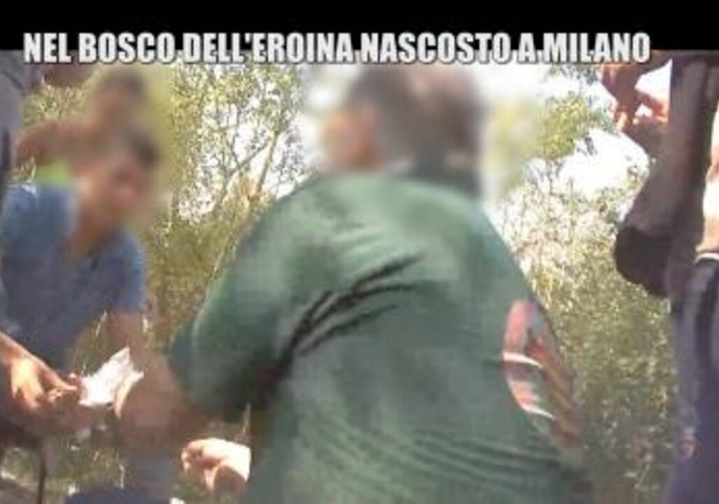 Spaccio (anche) nel bosco milanese di Rogoredo: condanne fino a 10 anni