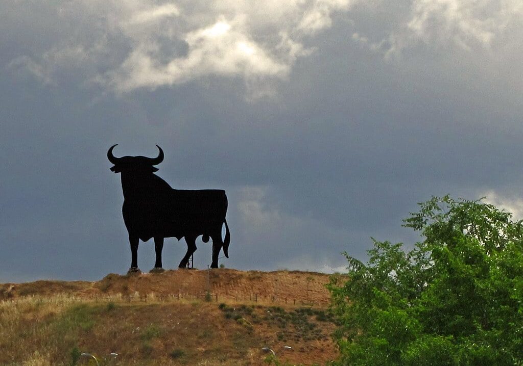 Fagnano Olona: agricoltore incornato dal suo toro