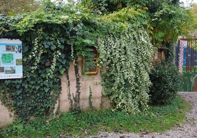 Ambiente. Il Progetto Maurice avanza: ci sono oasi VVF di Vanzago e fontanile Nuovo a Bareggio