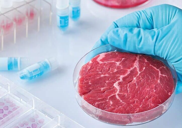 NO alla Carne sintetica: prima vittoria della Coldiretti,  il ddl in aula alla Camera