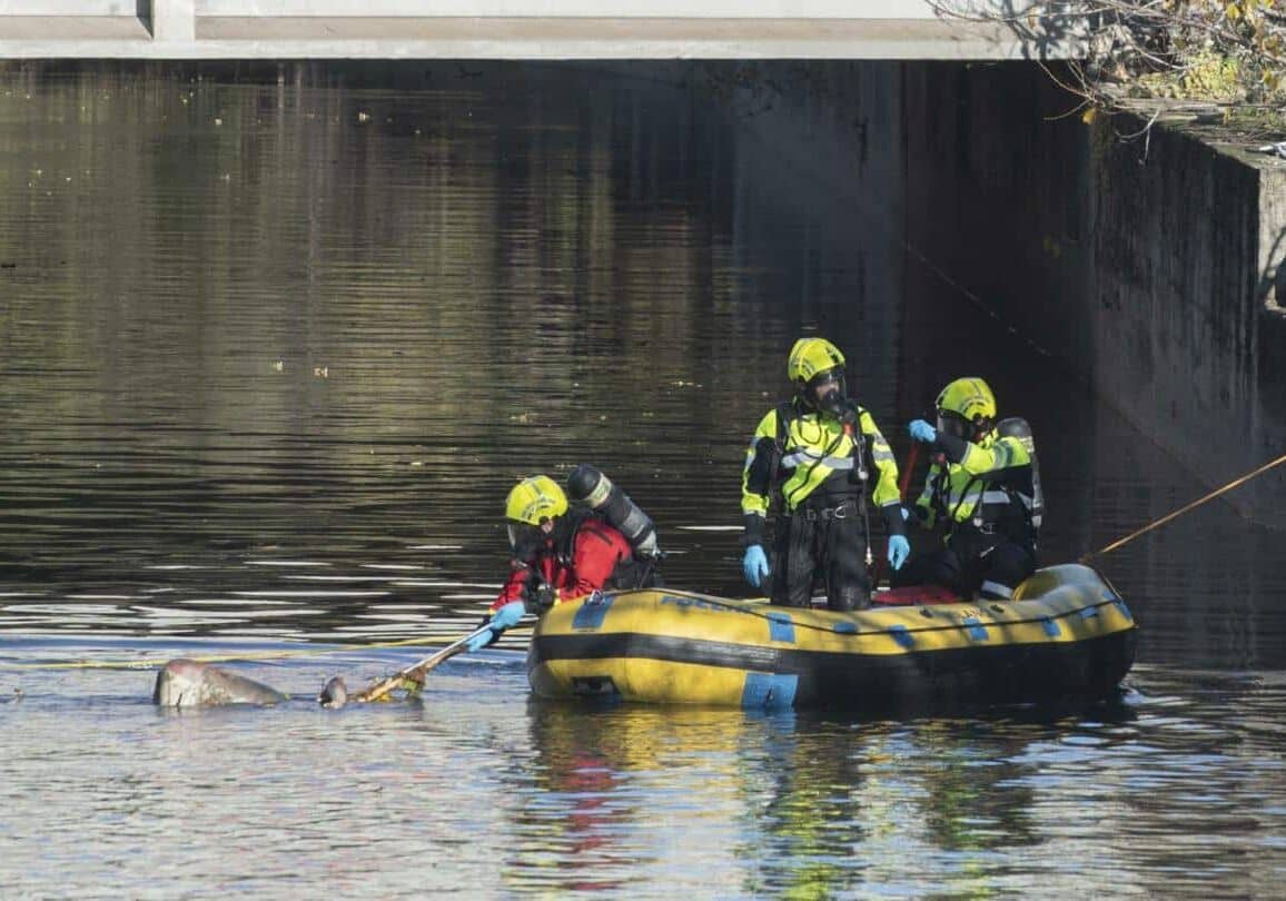 Il cadavere ritrovato nel canale Enel di Villadossola e’ di un novarese scomparso,  la conferma dal DNA