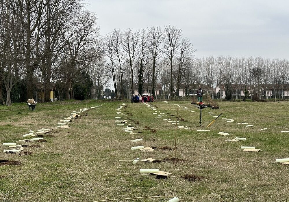 PNRR: finanziati i due progetti della Città metropolitana di Milano per la forestazione