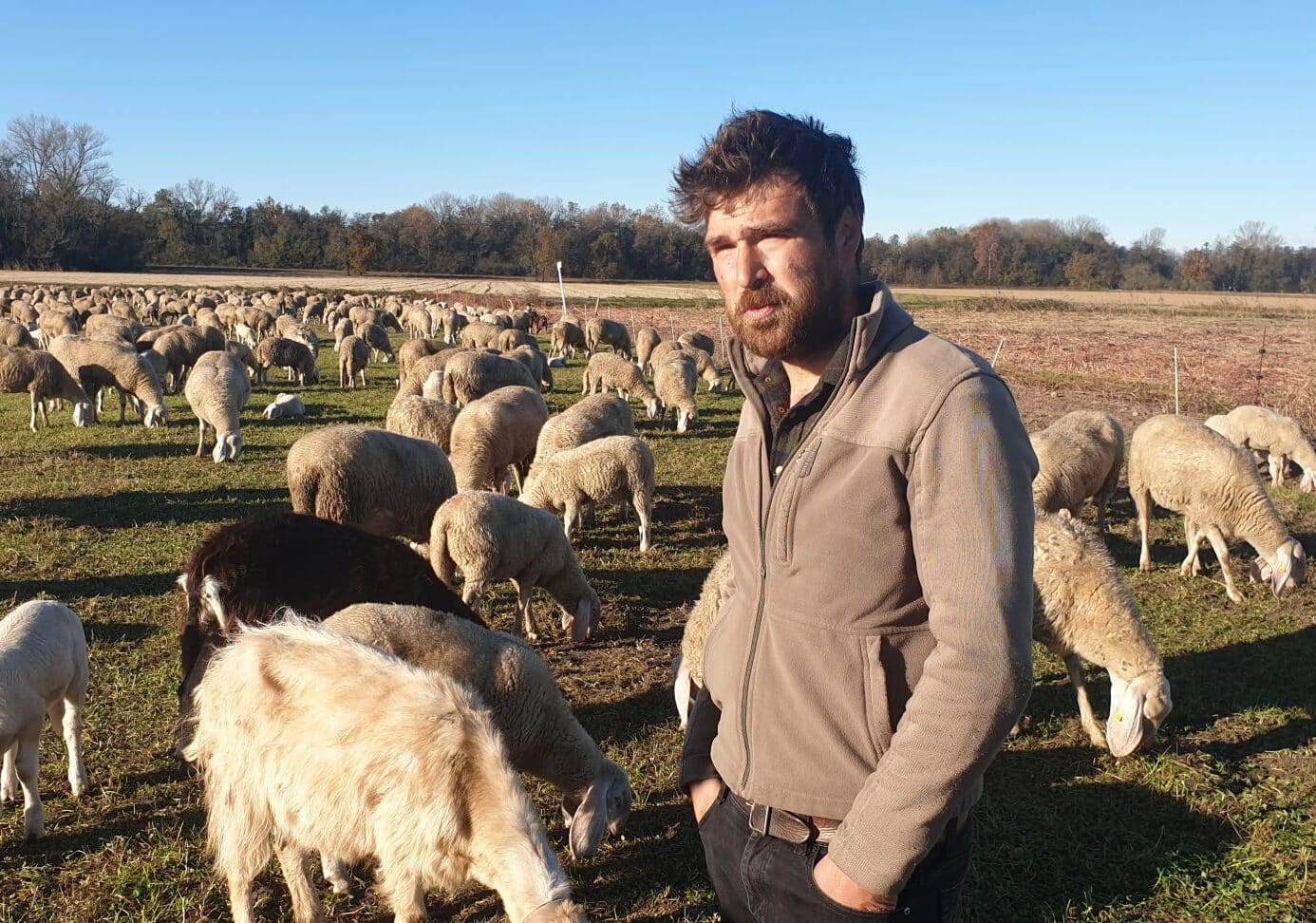 Morgan e la sua vita da pastore, tra gli alpeggi e la pianura del Magentino: “Non cambierei il mio lavoro per niente al mondo”