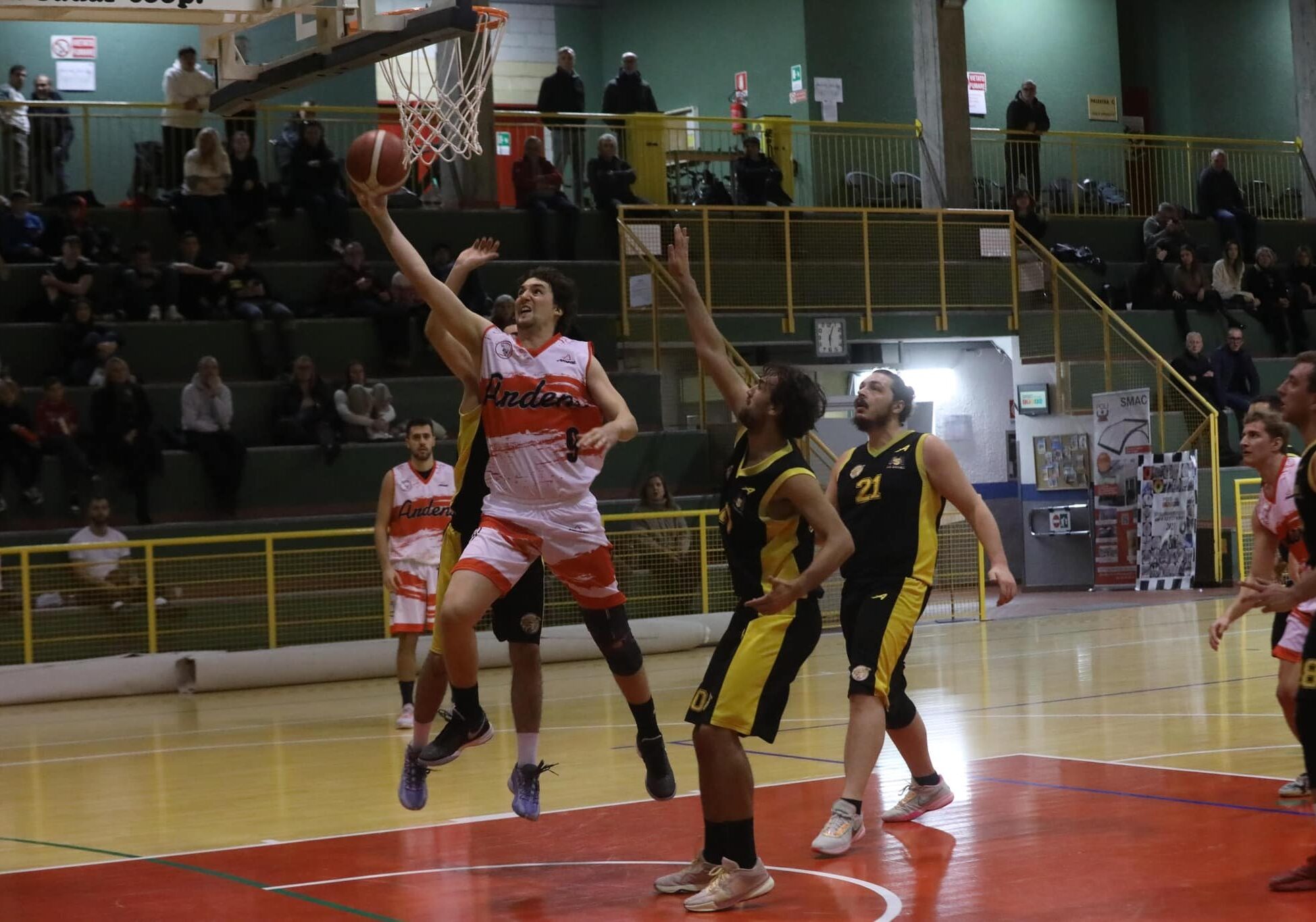 Basket: il 7 gennaio Ardens Sedriano-Binzago