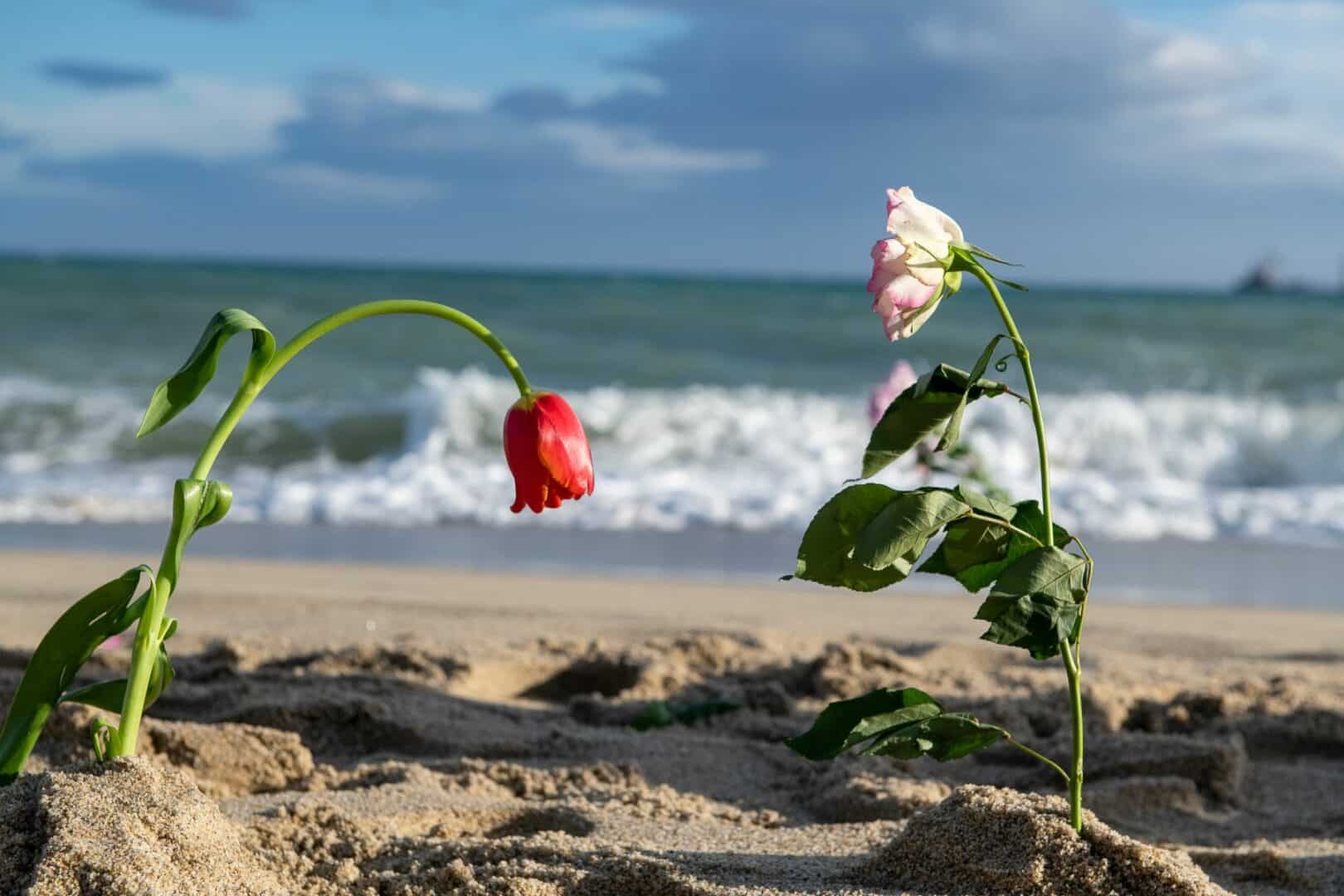 Cutro, un anno fa la strage in mare