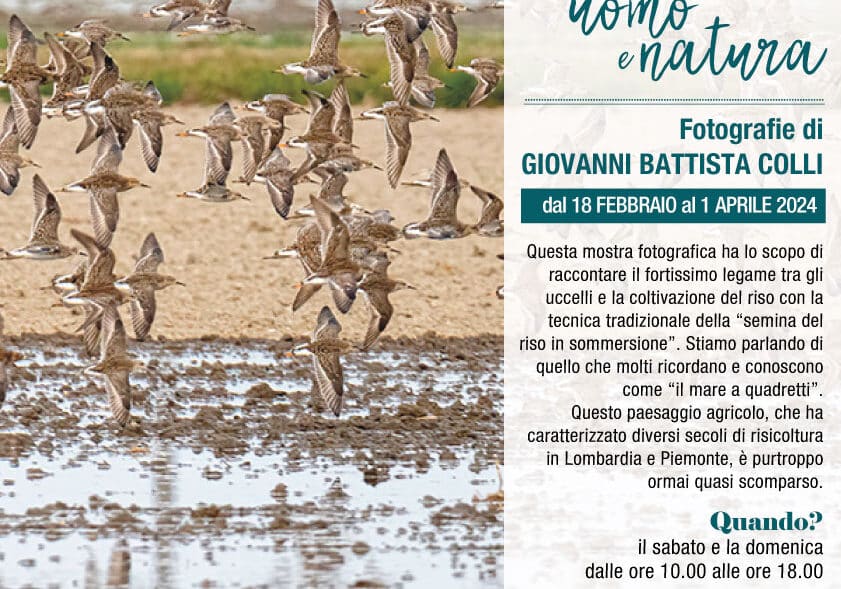 Lonate Pozzolo. Una mostra tra risaie e uccelli all’ex Dogana austriaca di Tornavento