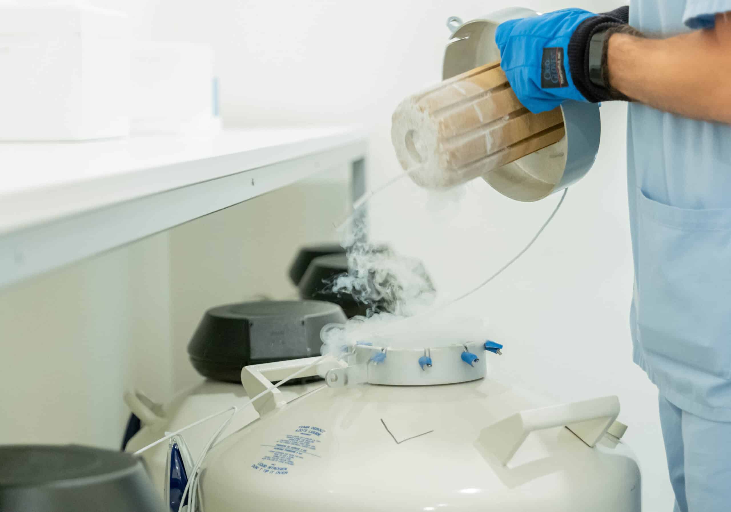 L’identikit della donna che preserva la fertilità col social freezing: trentenne e ancora alla ricerca del partner