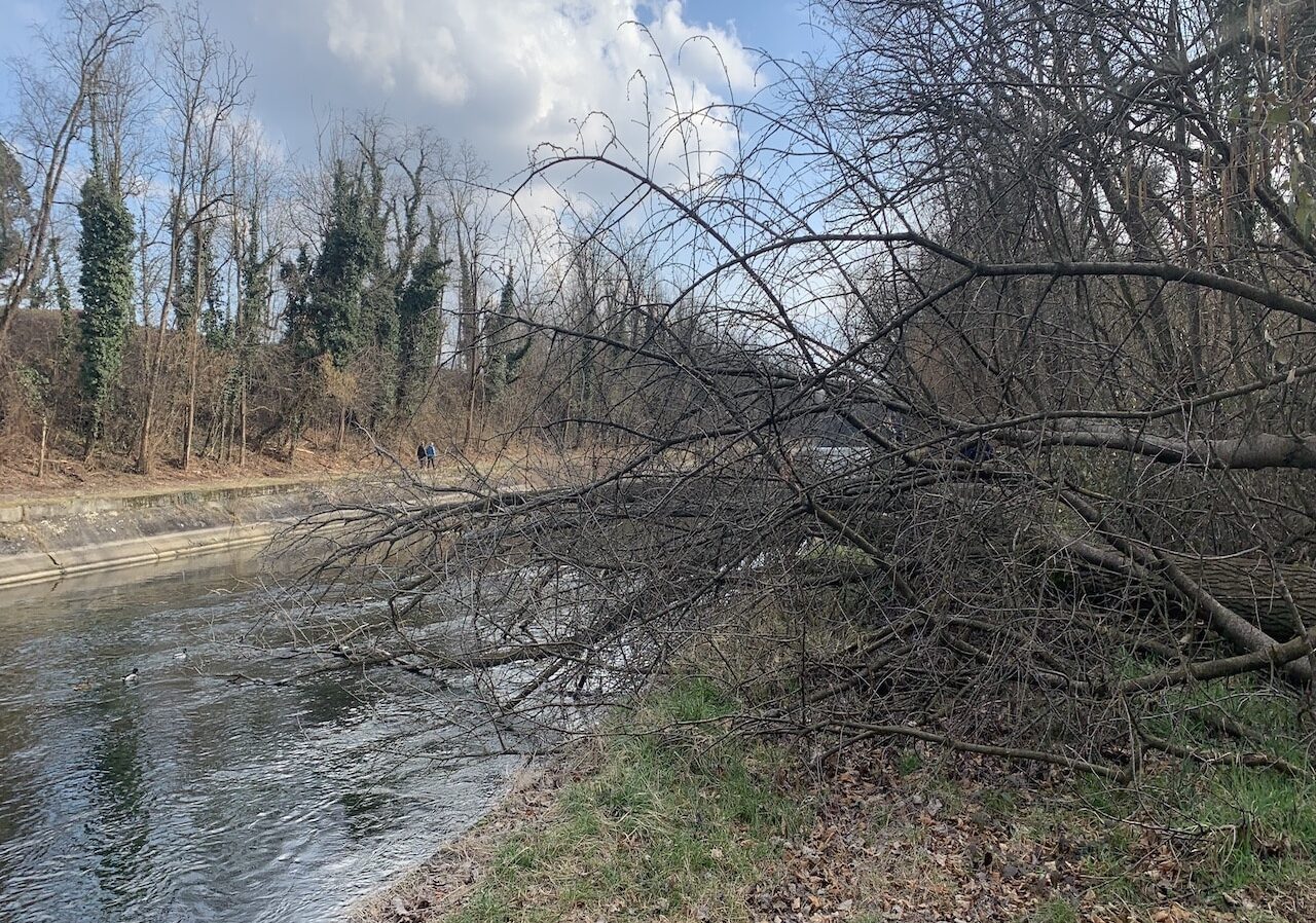 L’alzaia del ‘Naviglio in regresso’ è interrotta da tempo