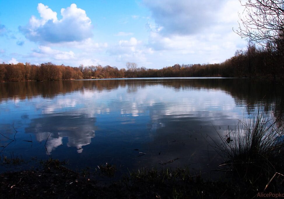 Legambiente sulla Giornata Mondiale dell’Acqua