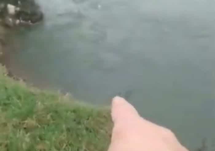 Castelletto di Cuggiono, fiume Ticino in piena e le sponde crollano: reportage di Andrea Azzimonti