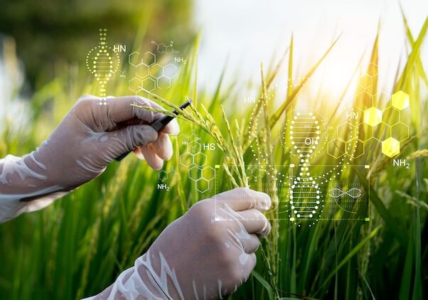 Agricoltura: Lombardia prima in Italia a sperimentare le TEA