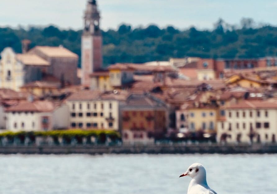 A Varese crescono i turisti, +22% di pernottamenti in un anno