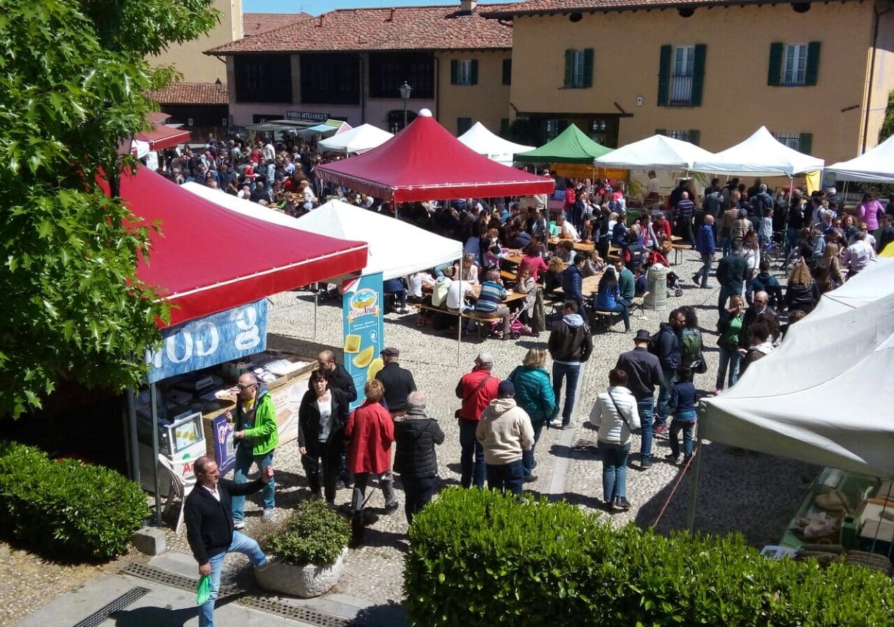 Domenica 14 aprile, gita a Morimondo incontro alla primavera per immergersi nella storia e nella bellezza a pochi chilometri da casa