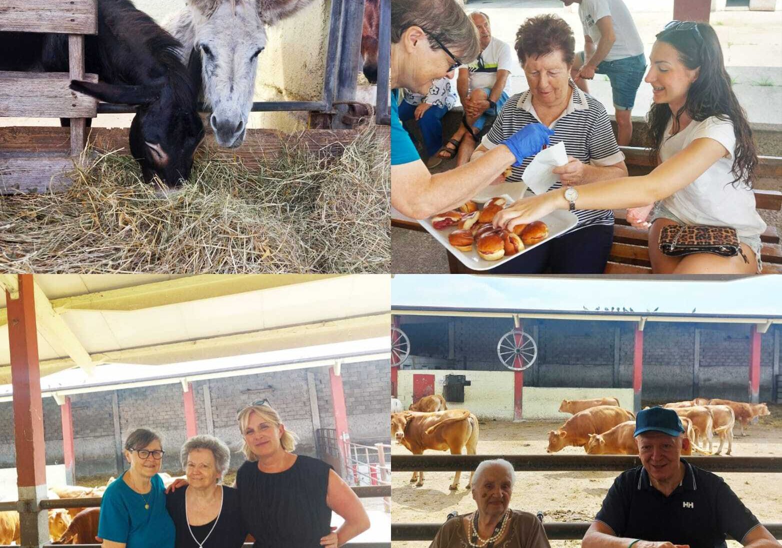 L’estate dei nostri anziani. Arconate: metti un pomeriggio in Cascina