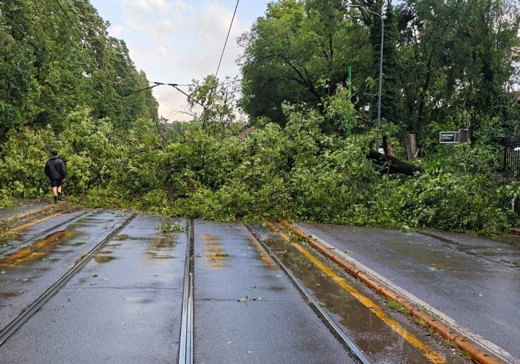 Milano, dieci minuti di nubifragio: Vigili del Fuoco al lavoro