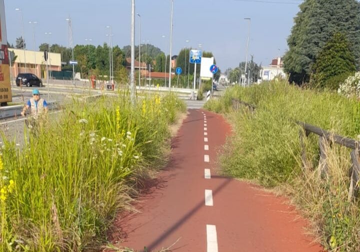 Erbacce alte lungo la ciclabile Magenta Corbetta, un cittadino: “Ho scritto al Comune, solo risposte vaghe di impegno”