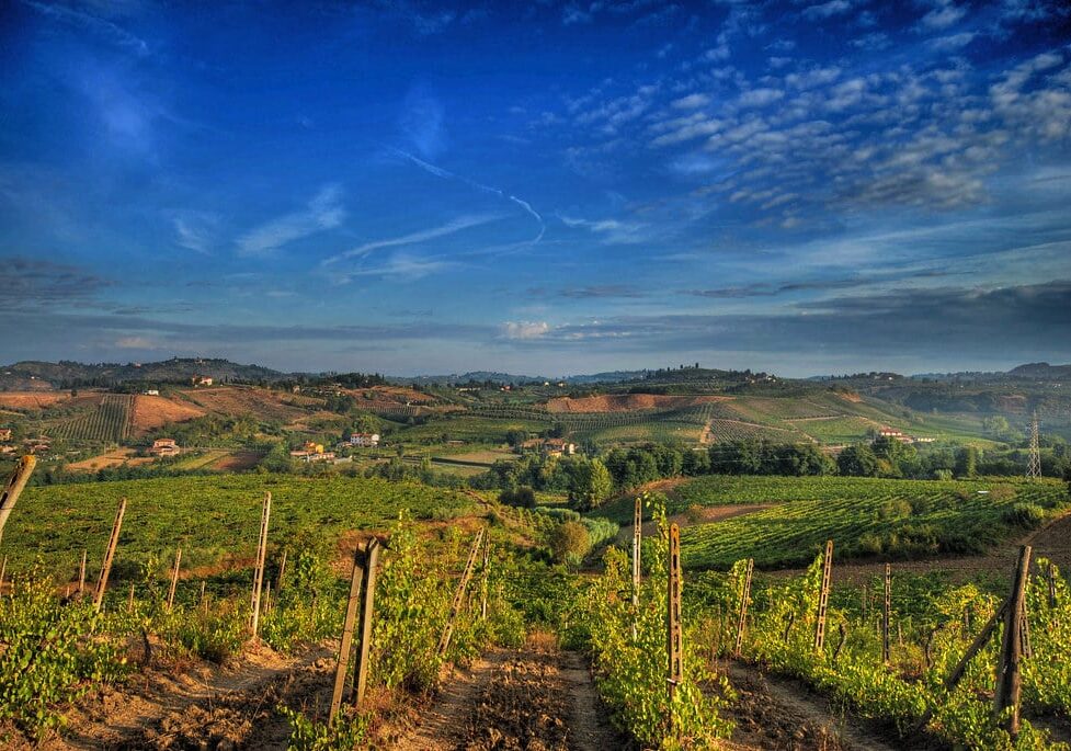 Al via oggi la vendemmia nel Pavese