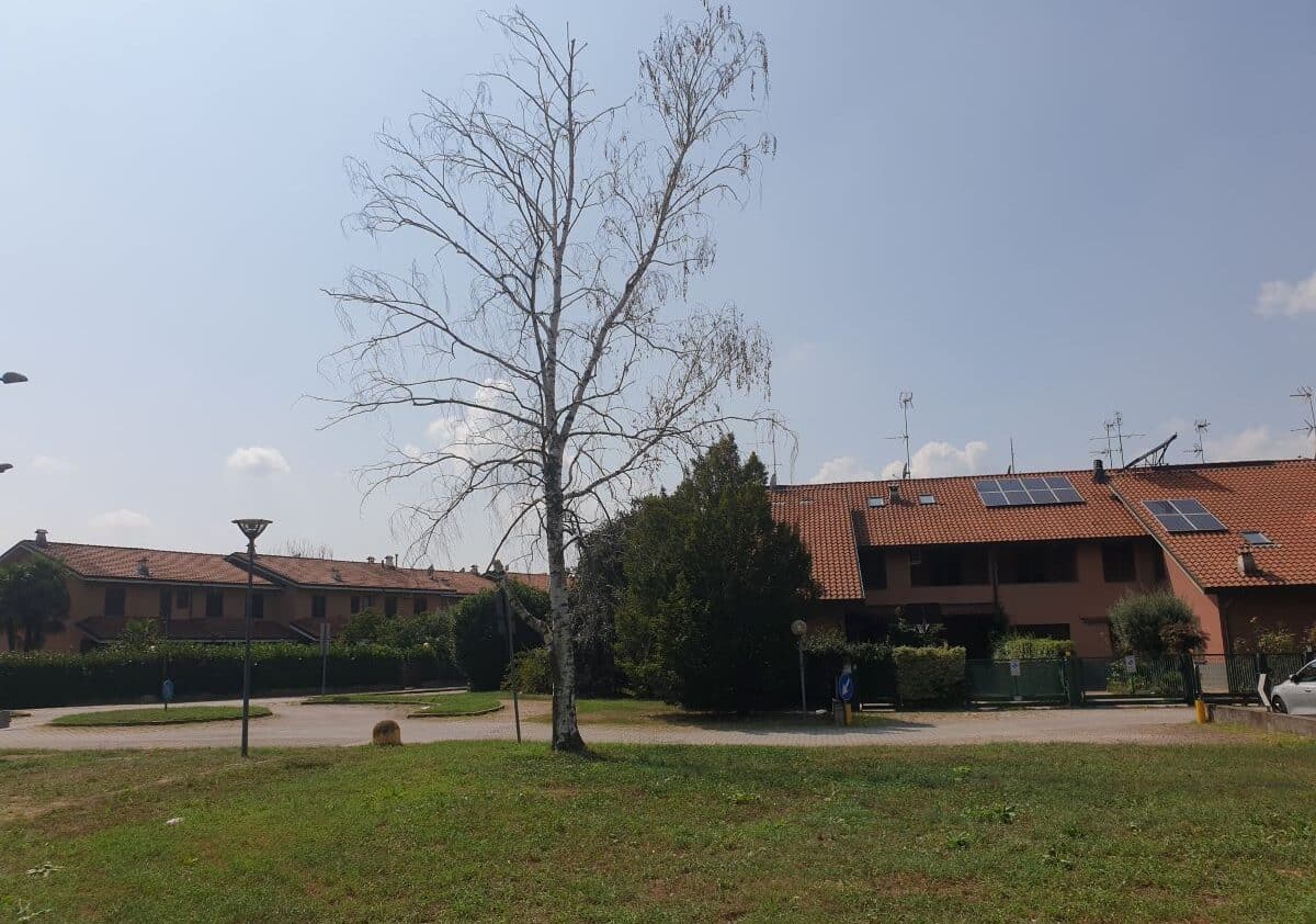 Vittuone, quartiere Leonardo da Vinci, i residenti protestano: “Non siamo cittadini di serie B”