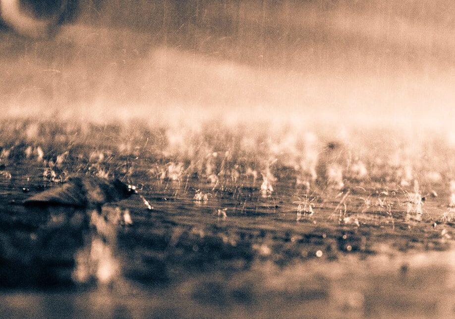 Milano, allerta meteo per domenica