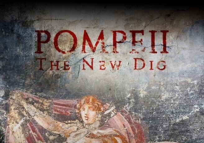 TN dal Mondo:  intervista  esclusiva di Elena Mortelliti – BBC Pompei. Di Marco Colombo