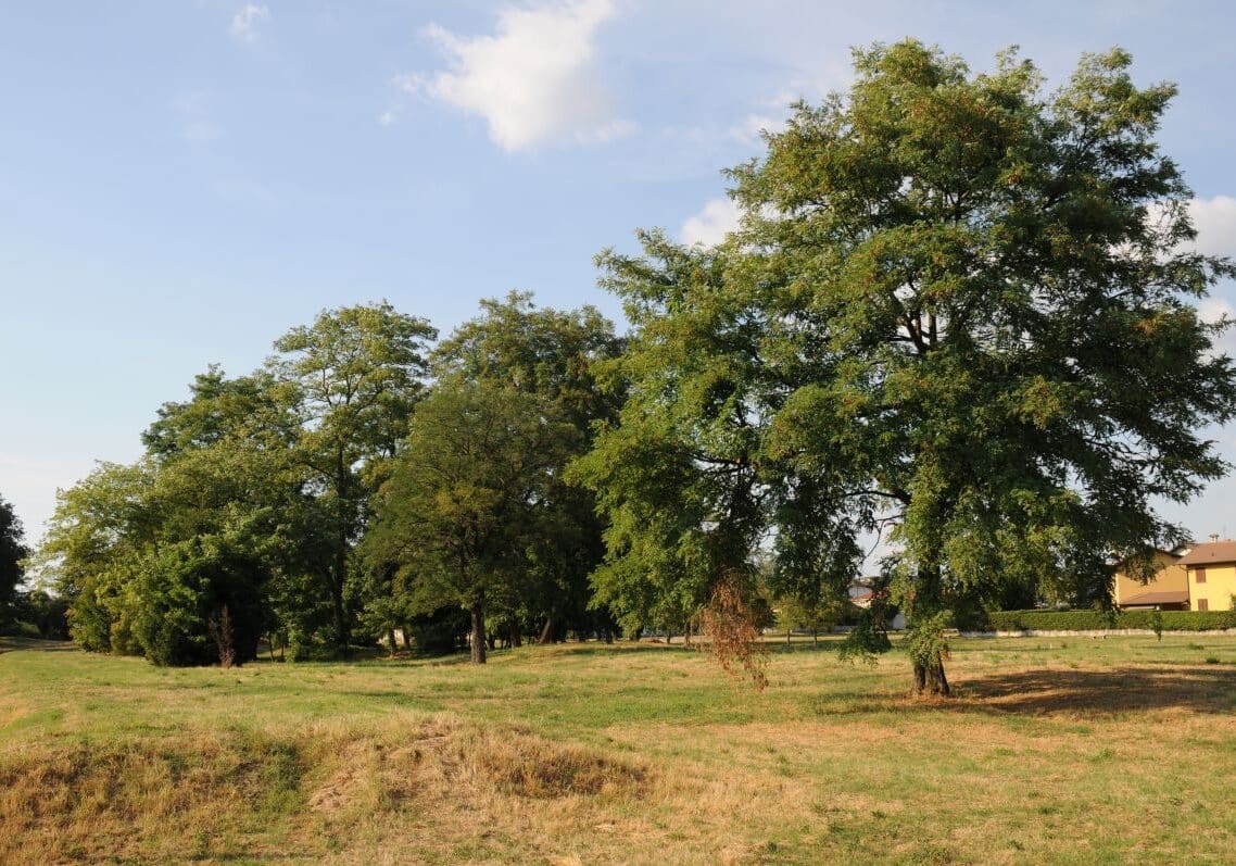 San Giorgio su Legnano: ricominciati i lavori al Parco del Campaccio