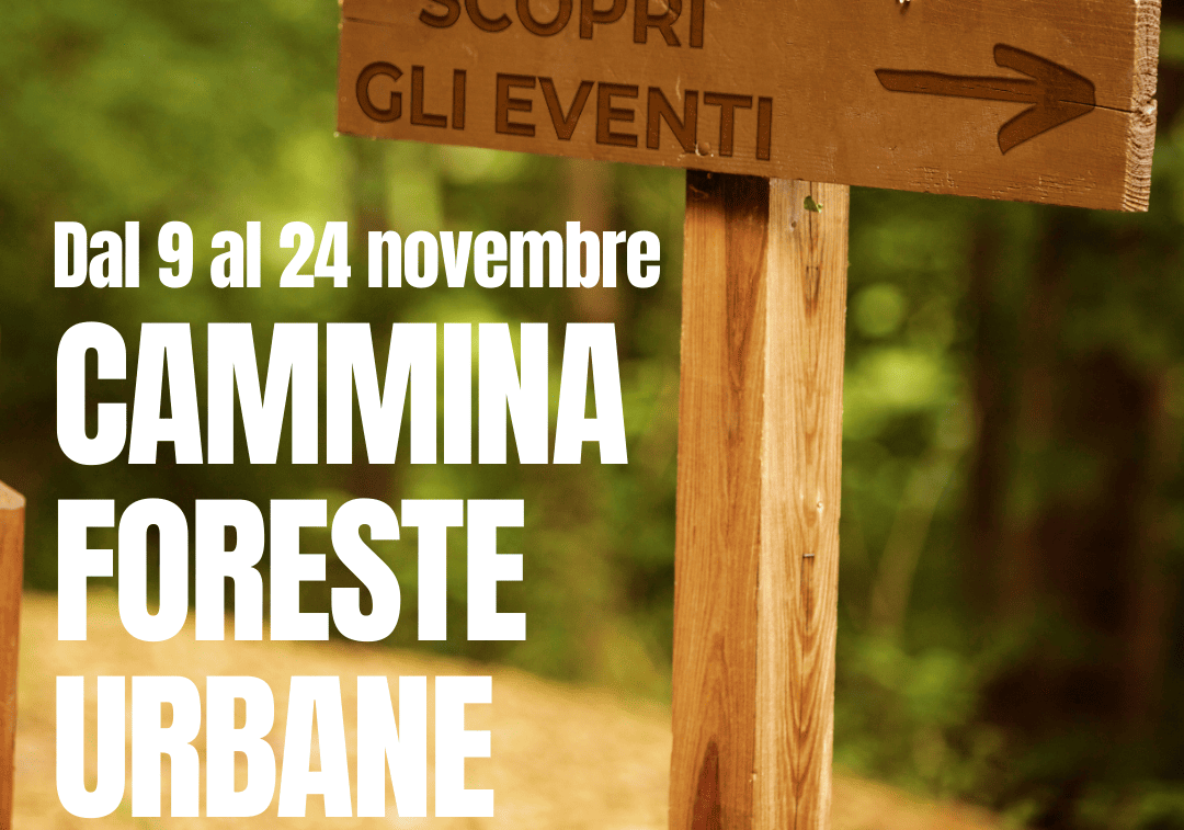 Dal 9 al 24 novembre torna Cammina Foreste Urbane di ERSAF e Legambiente Lombardia