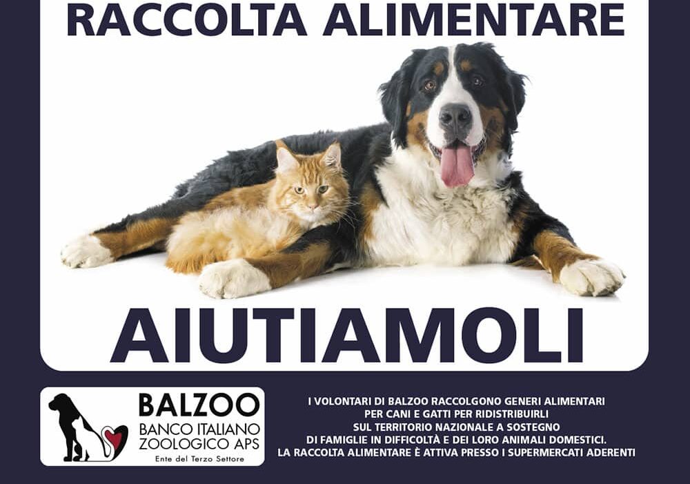 Sabato 1 marzo Gigante e Balzoo ‘insieme’ per cani e gatti