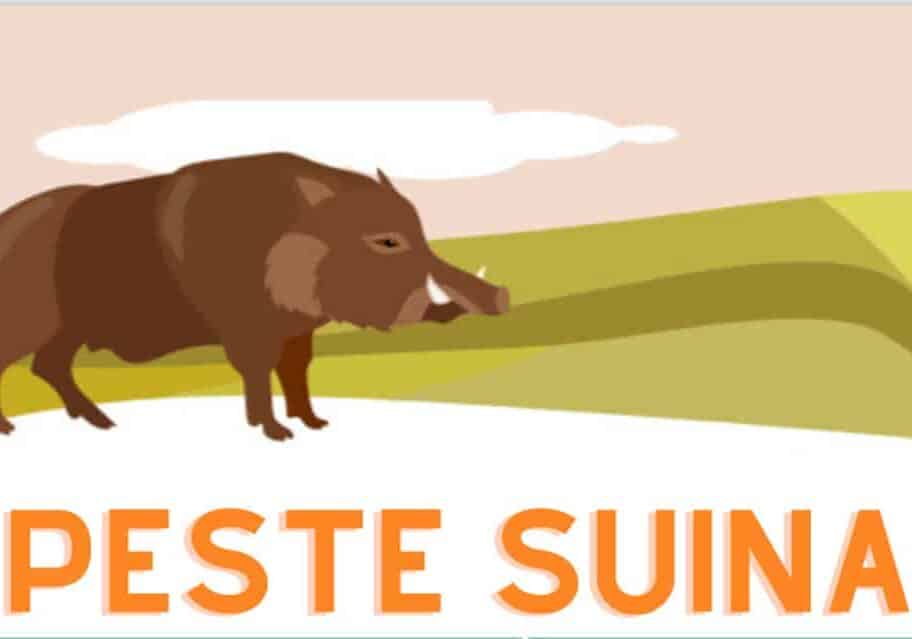 Peste suina, vertice in Prefettura a Milano