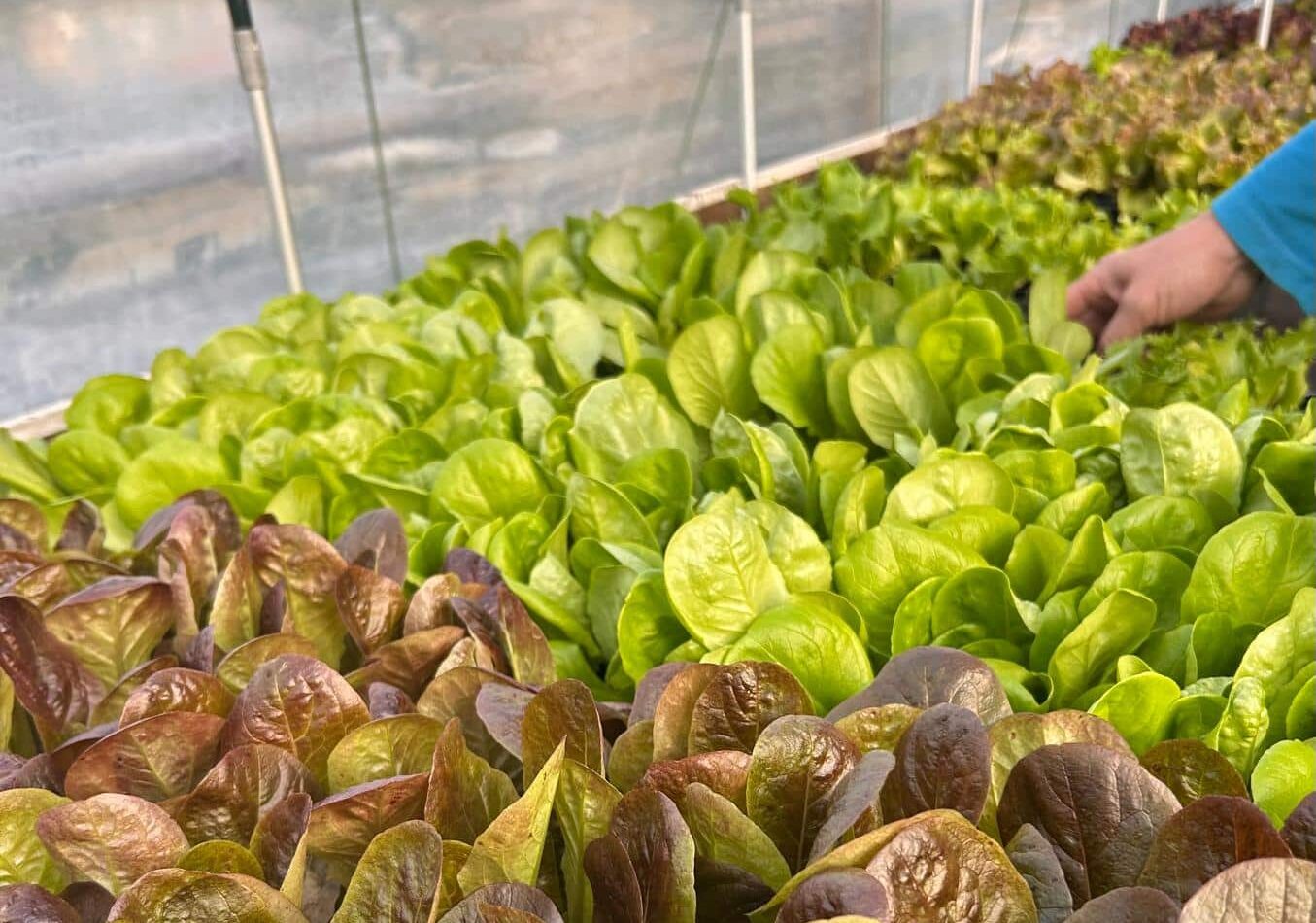 APRILE: La Primavera è arrivata da Zanzottera!