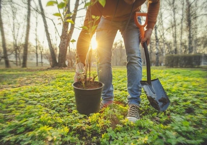Scuola Forestami con la cooperativa Opera in Fiore insieme per arricchire la piantagione di Noviglio con i Bugs Hotel