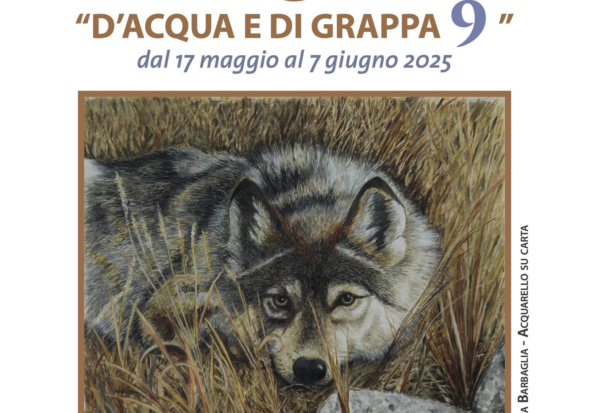 A Marcallo in mostra gli acquerelli “D’acqua e di grappa 9”