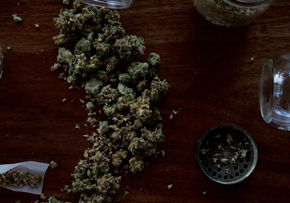 Milano: in casa aveva piante di marijuana, arrestato un 50enne