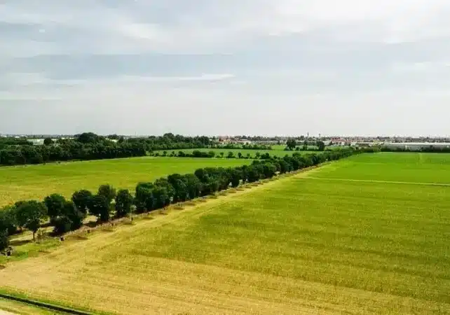 (Anche) Legambiente Terre di Parchi si schiera contro l’impianto fotovoltaico dell’Est-Ticino