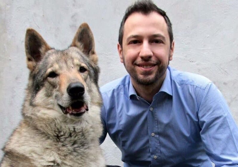 Strage di cani in Marocco, Comazzi e Dalla Chiesa (FI): “Barbarie inaccettabile. Il calcio non può giustificare tutto”