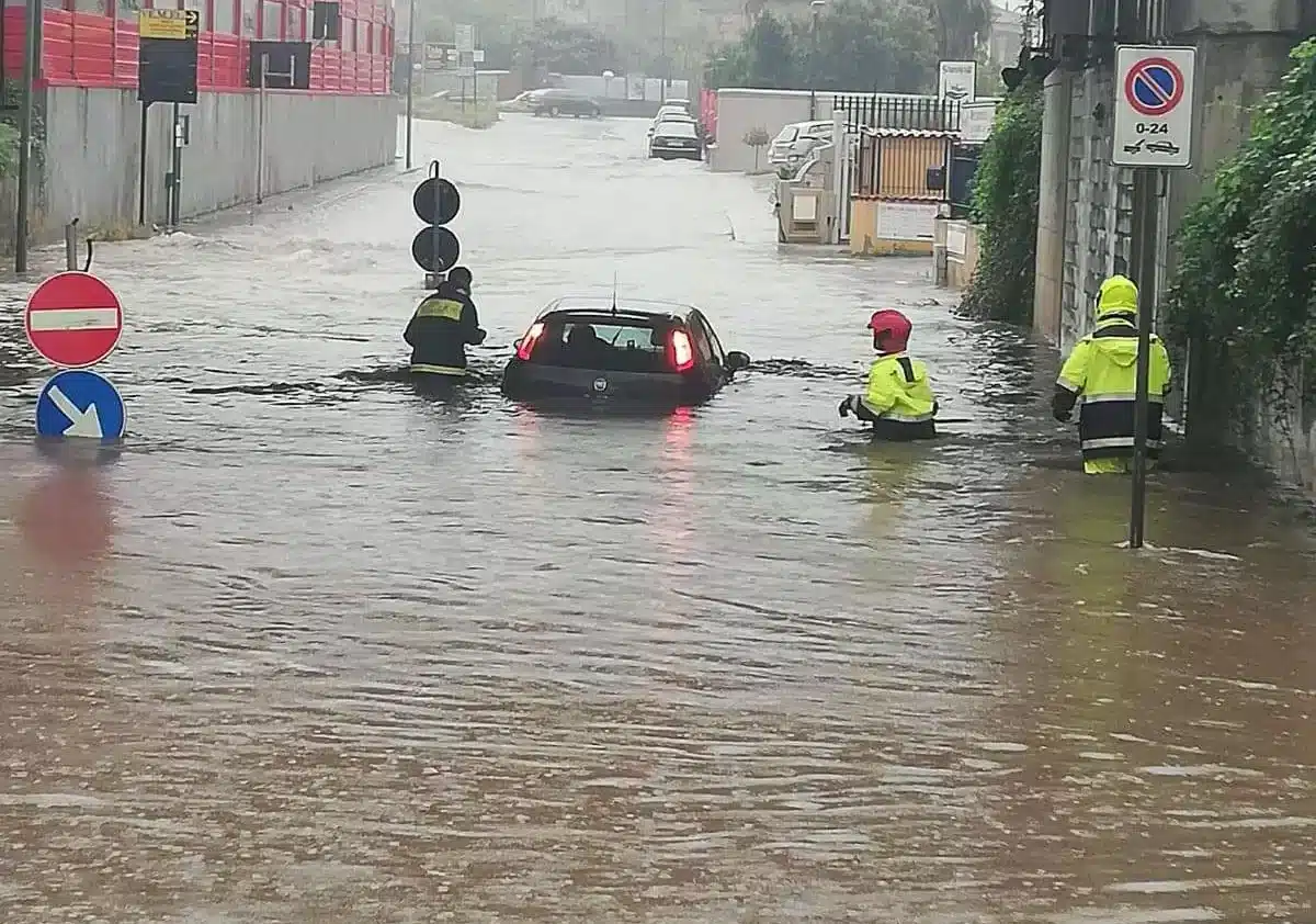 Faccia da cambiamento climatico e quello che possiamo fare nel nostro quotidiano