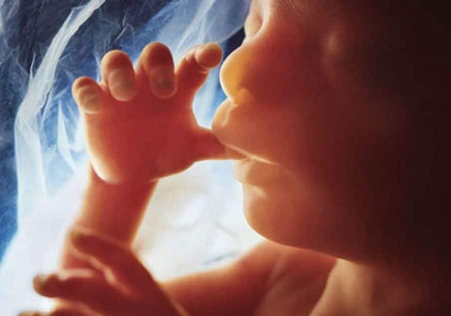 Terapia prenatale corregge difetti genetici nei feti